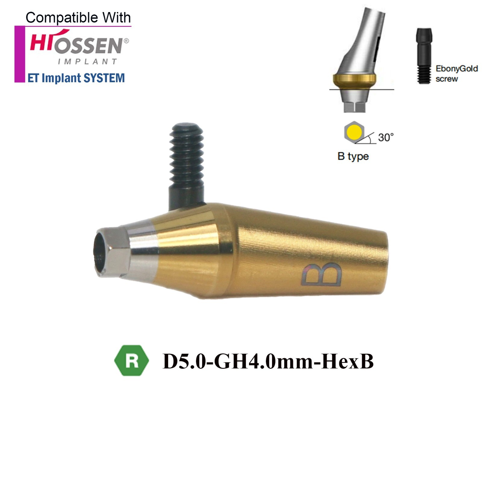 Angulated Anatomic abutment 30°Mini/Regular B Type for Hiossen Osstem TS Implant