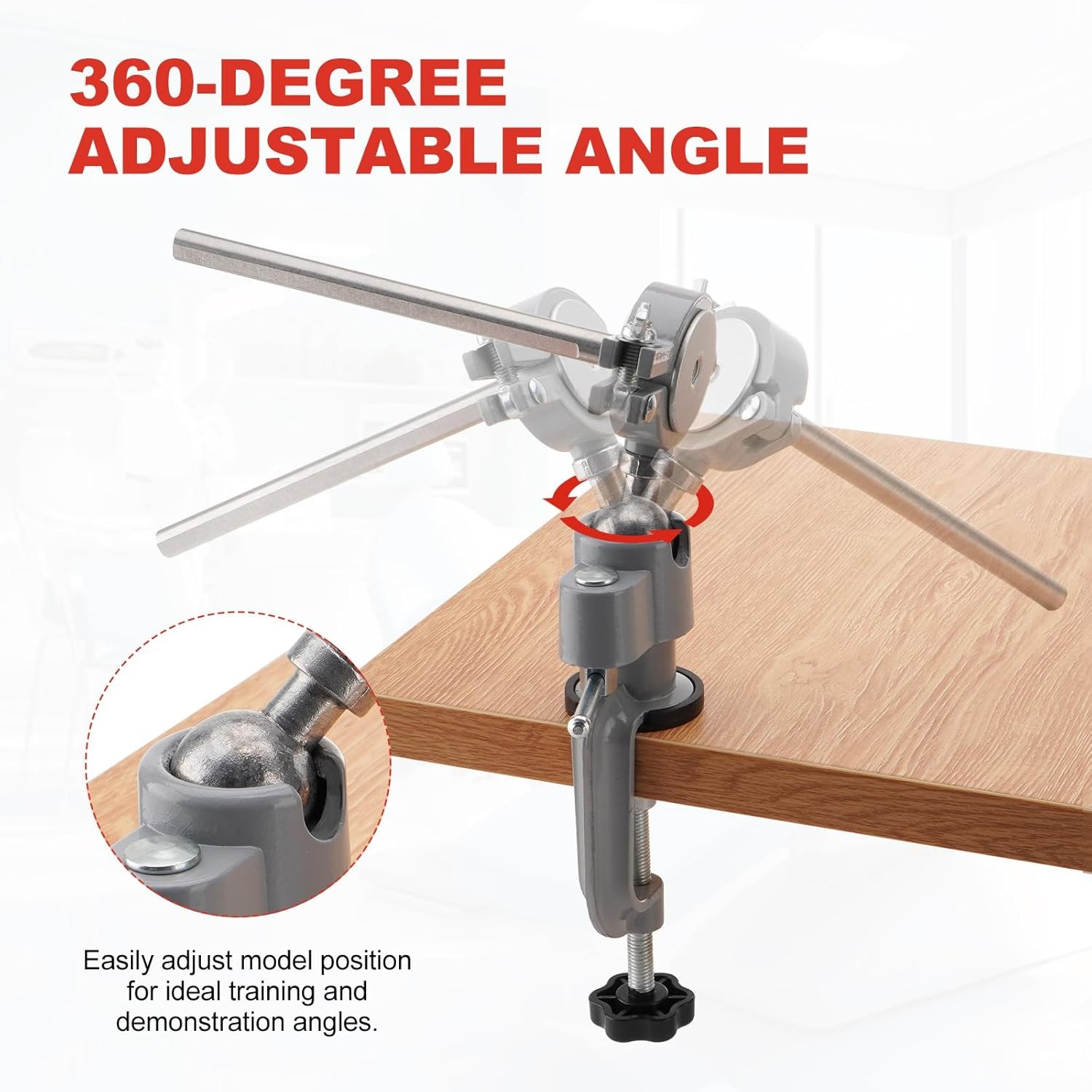 Dental Typodont Mounting Pole: 360° Rotating（Typodont Teeth Model is NOT Includ）