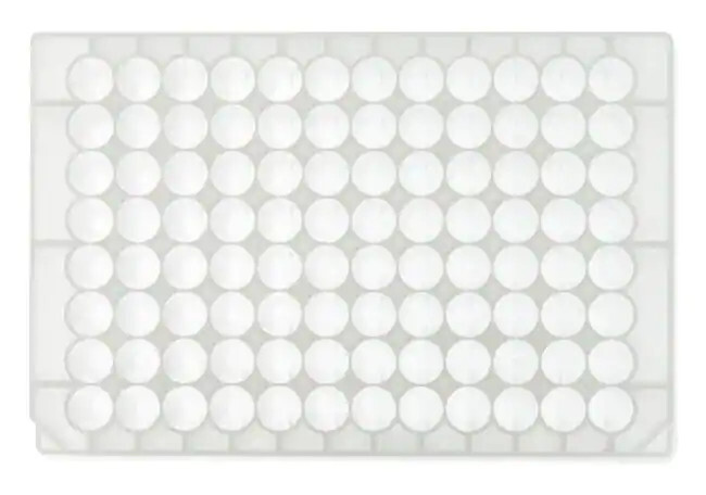 278752 Nunc 96 deep well Plate