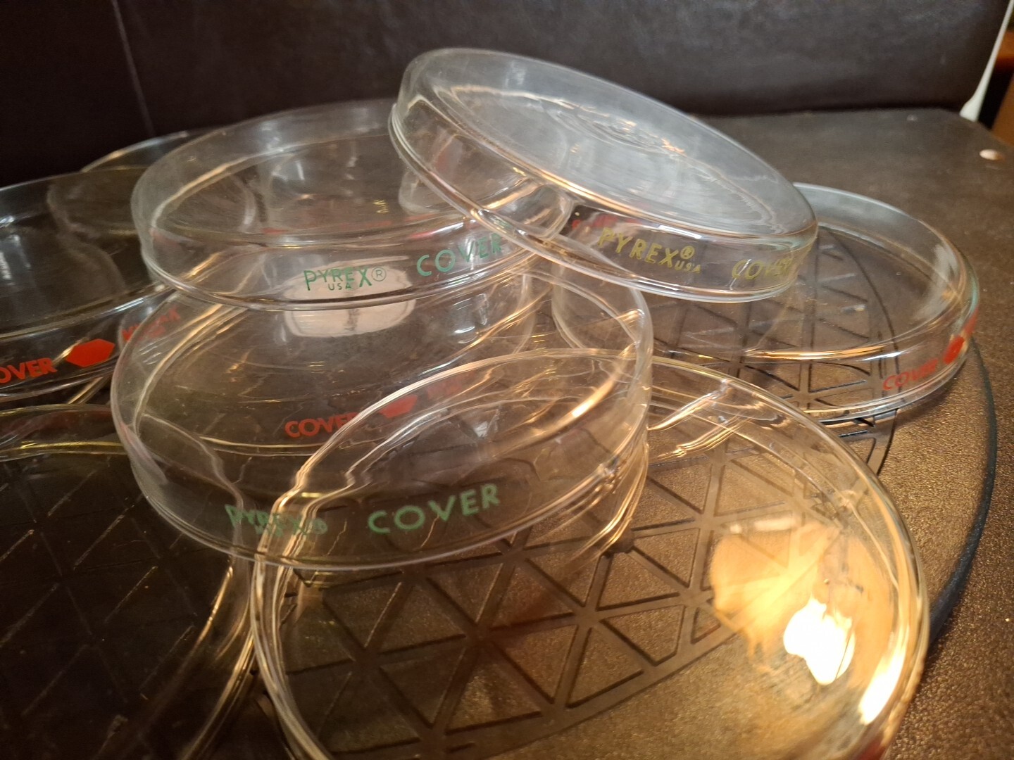 Kimax / Pyrex Petri Dishes 100mm x 15mm Set – 12 Covers and 12 Bottoms