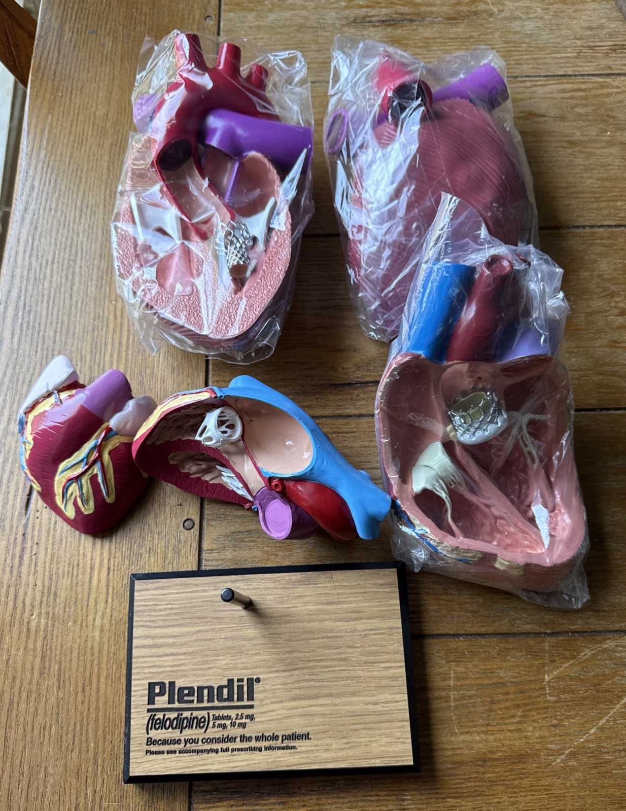3D Model Anatomical Human Heart Drug Rep Plendil Pharmaceutical Advertising