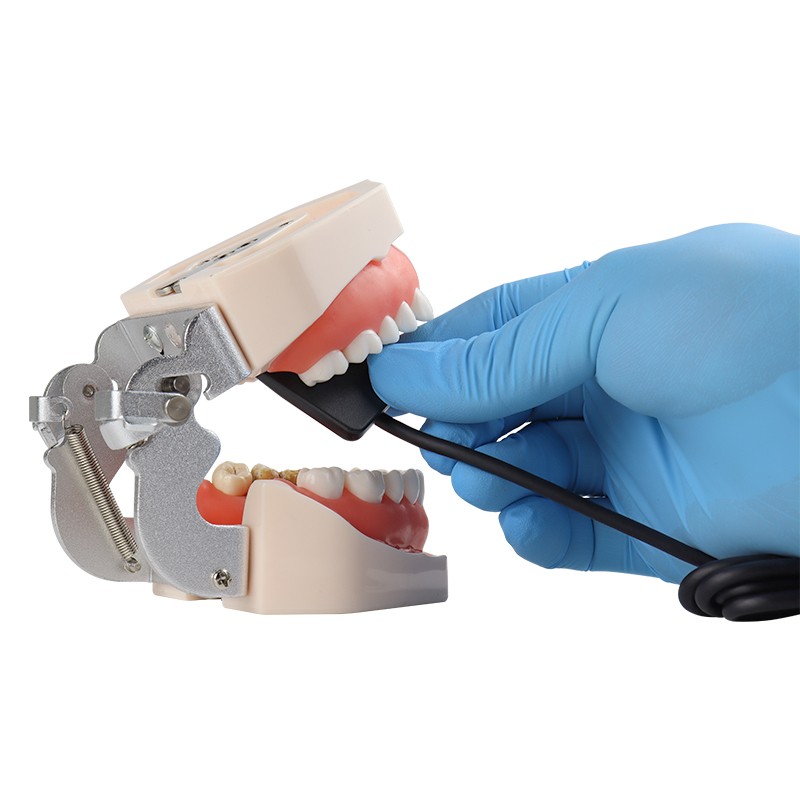 1 year Warranty Dental Sensor Portable Sensor Digital Sensor HD Dental Lab Tools