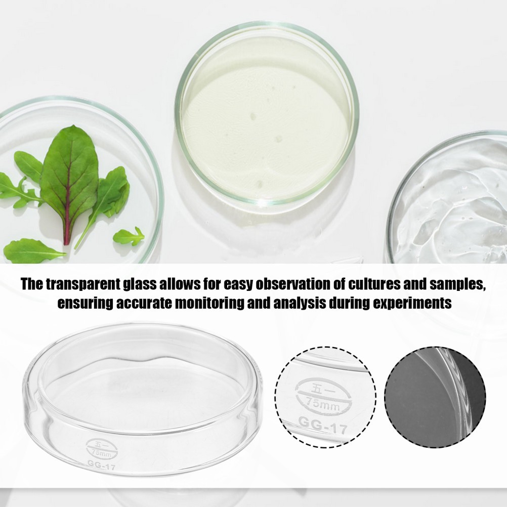 1 Set Transparent Glass Petri Dishes Bulk with Lids for Lab Use
