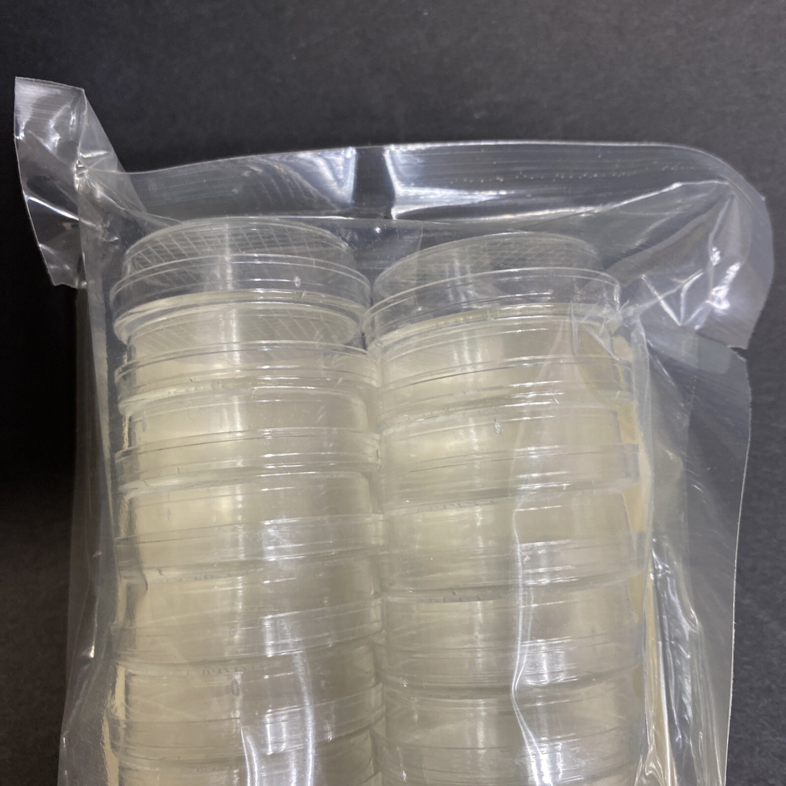 Thermo Scientific Nunc Petri Dish with Lid Total of 200 Dishes