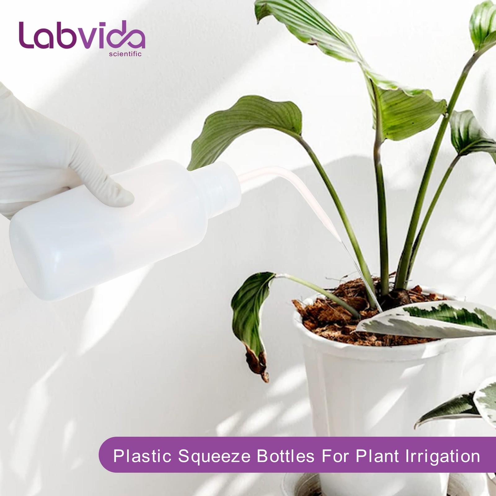 Labvida 2pcs New Released Thick Wall 250ml Squeeze Bottle Set Transparent