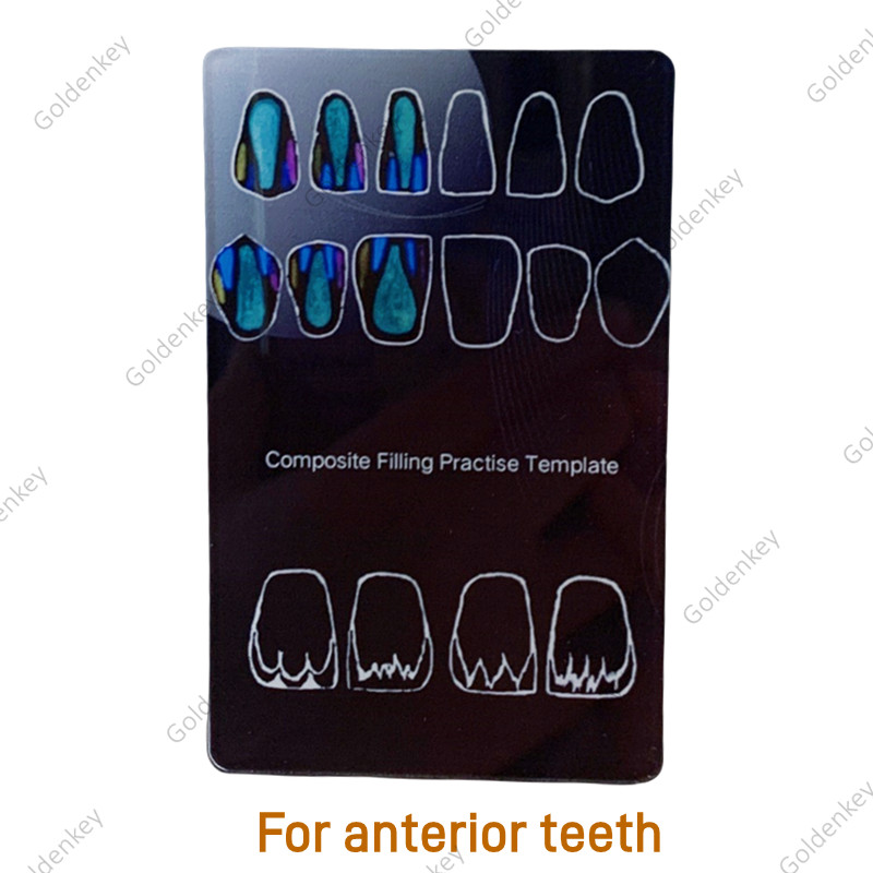 6Pc Dental Composite Resin Filling Model Dentist Build Up Teeth Morphology Board