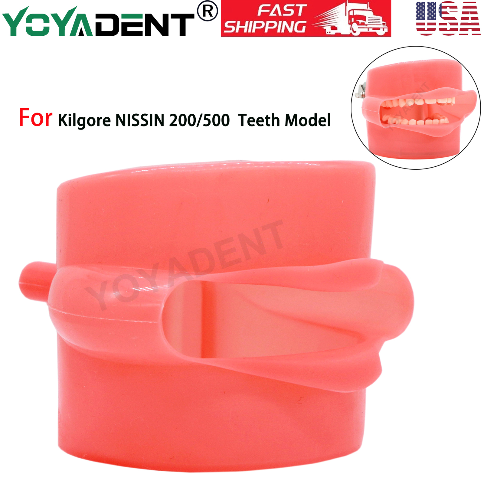 Dental Simulation Cheek Soft Rubber for Kilgore NISSIN 200/500 Type Teeth Model