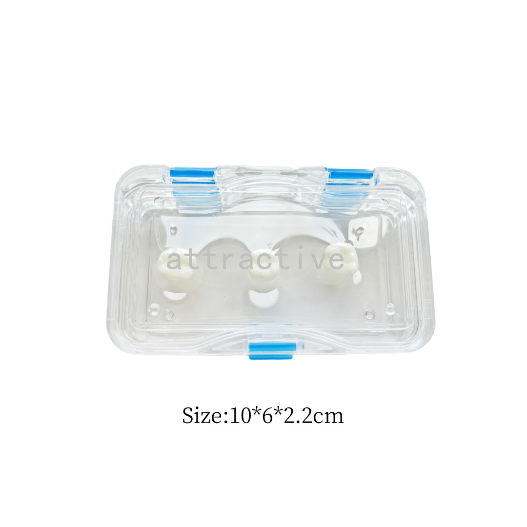 Denture Case Retainer Acrylic Jewelry Storage Box Hinged Display Dental Membrane