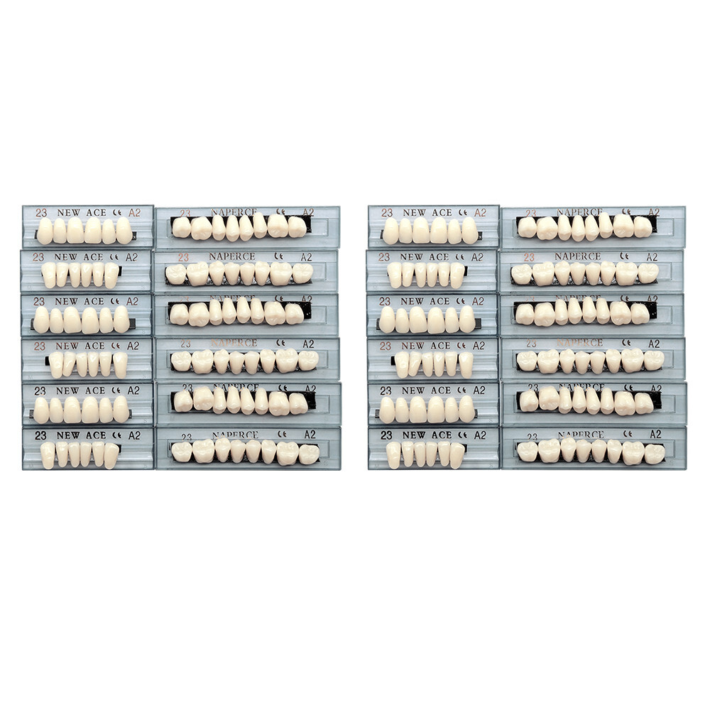 168Pcs/Box Acrylic Resin Denture #23 Dental Upper Lower Shade A2 Teeth Set US