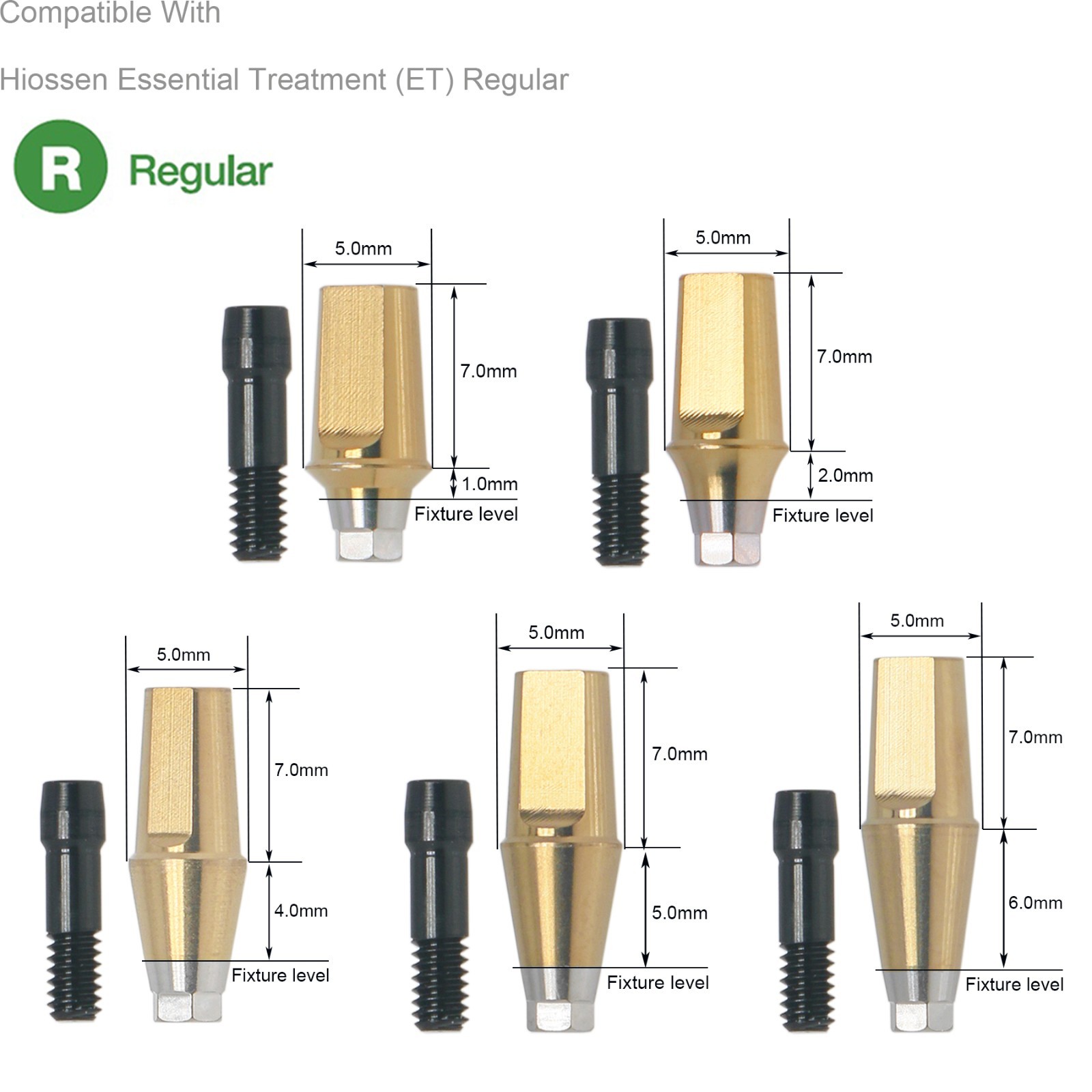 Dental Hex Straight Abutment with Screw Mini Regular Fit for Osstem Hiossen TS