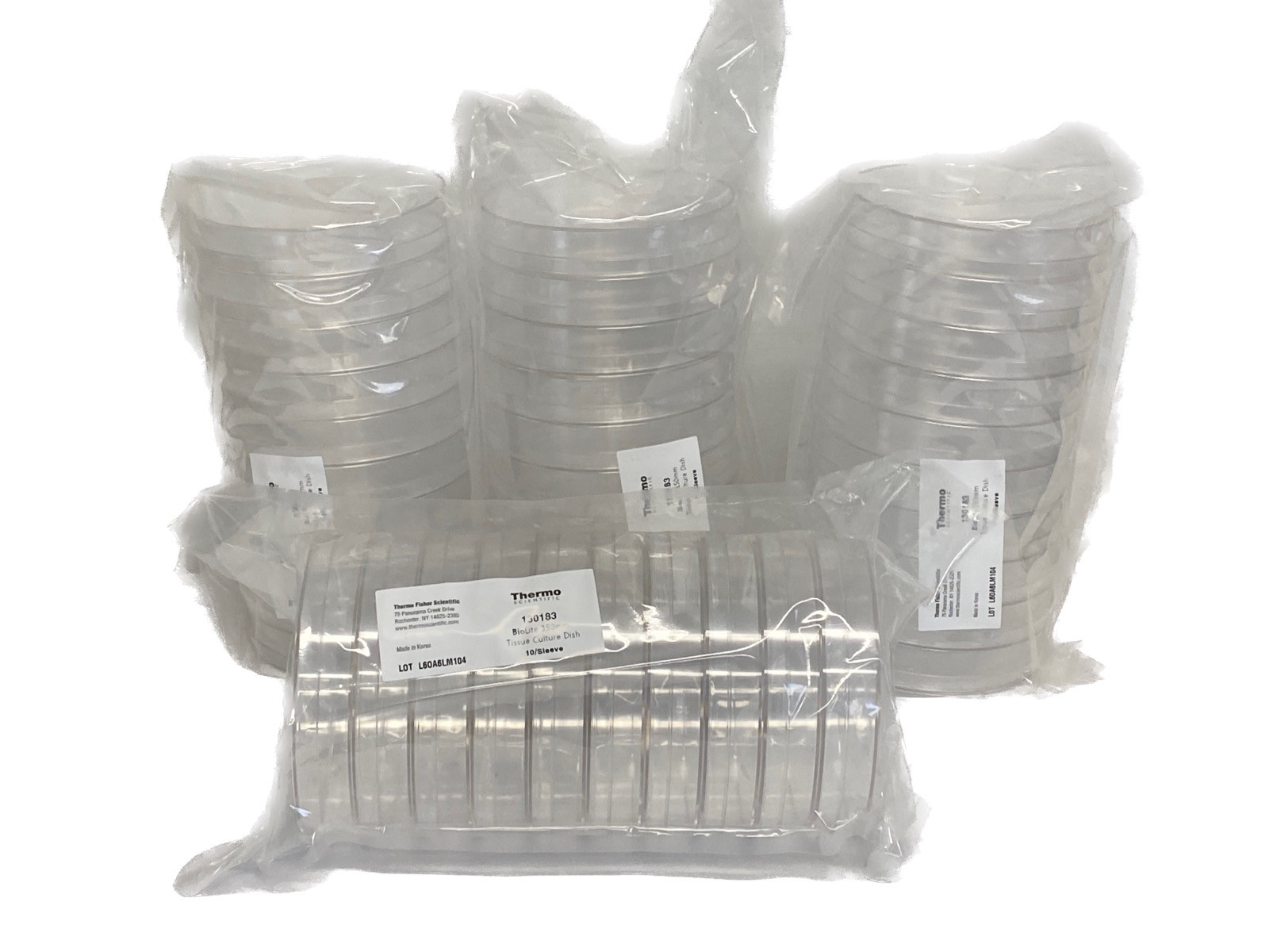(40) THERMO BioLite 150mm x 20mm Cell Culture-Treated Petri Dishes 35mL 130183