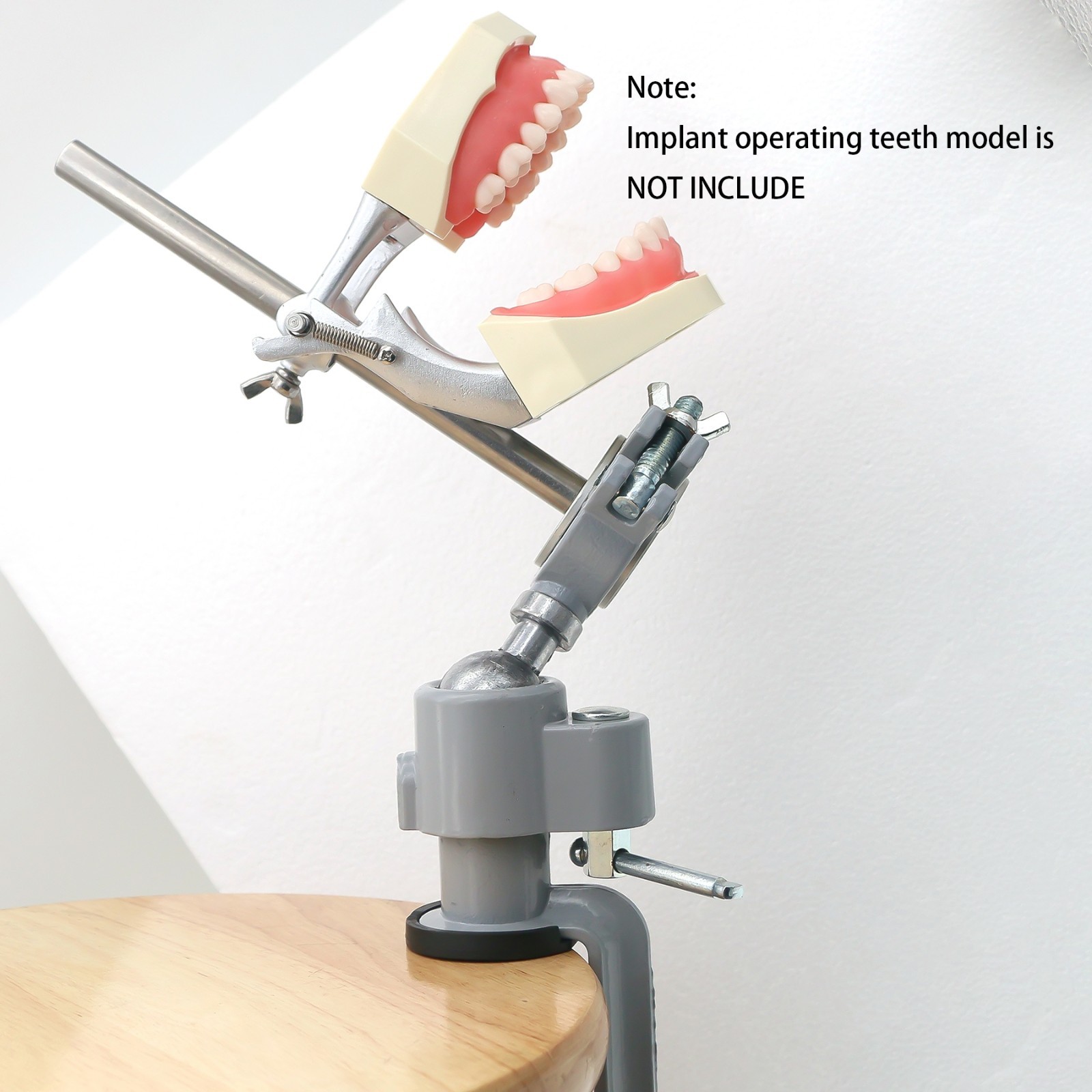 Kilgore NISSIN 200/500 Type Dental Typodont Model With Screw-in Removable Teeth
