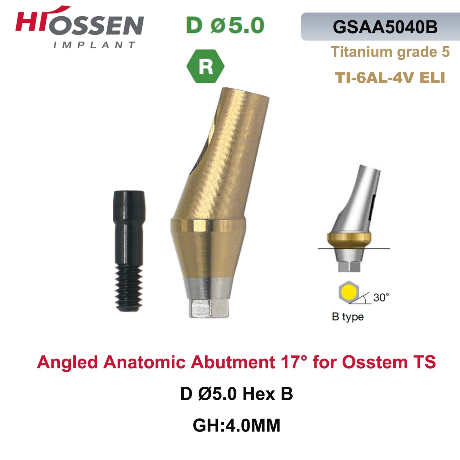US 17° Angulated Abutment Mini/Regular Hex A/B Transfer Fit Osstem TS/Hiossen ET