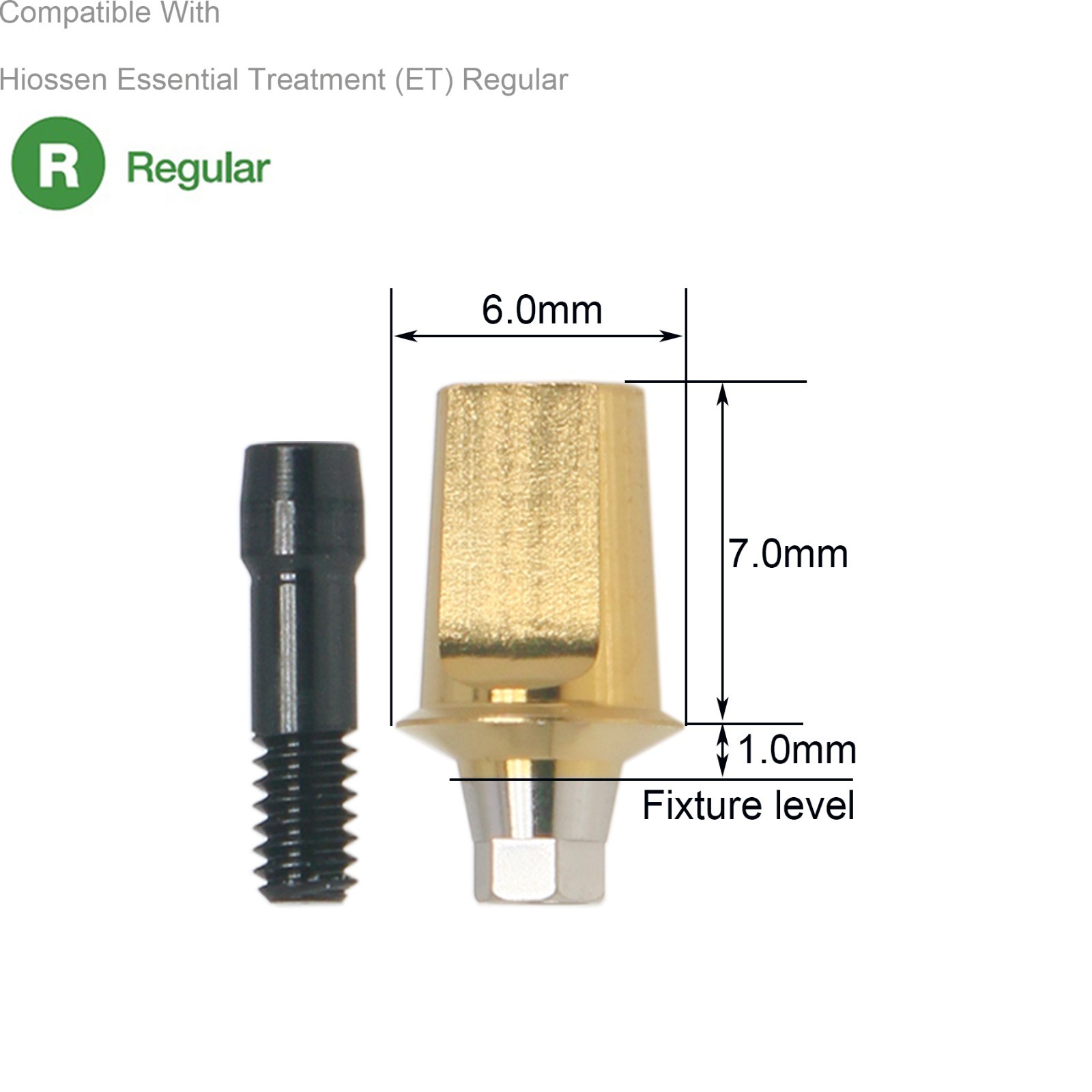 Dental Hex Straight Abutment with Screw Mini Regular Fit for Osstem Hiossen TS