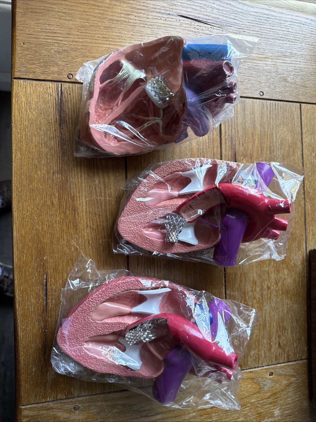 3D Model Anatomical Human Heart Drug Rep Plendil Pharmaceutical Advertising