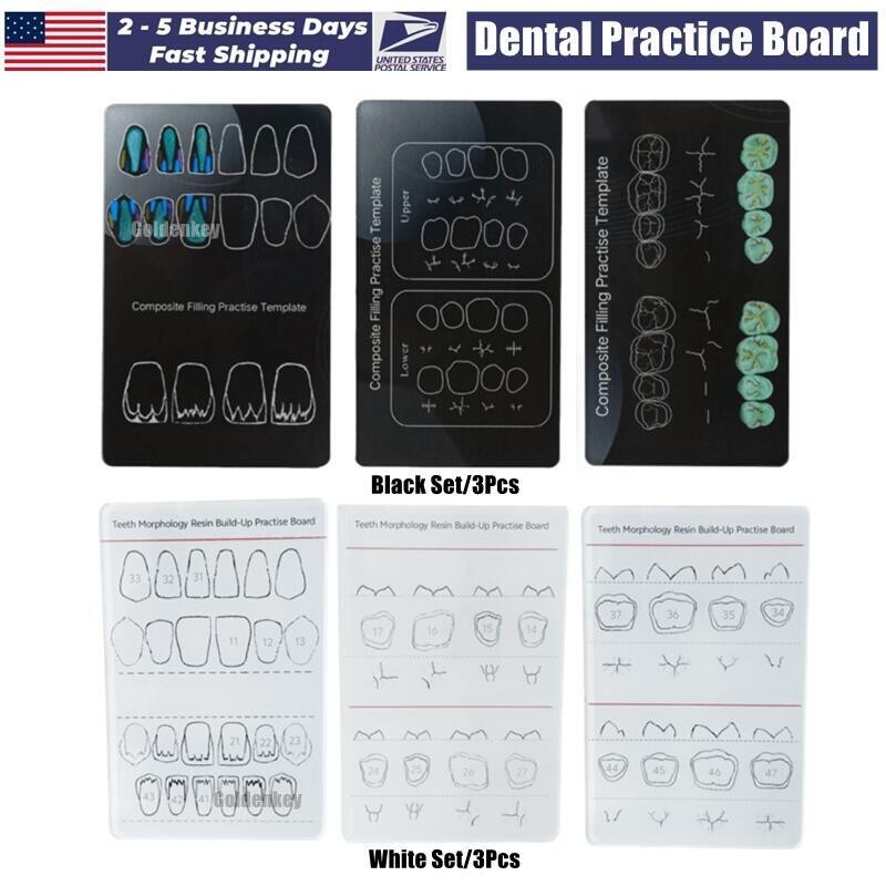6Pc Dental Composite Resin Filling Model Dentist Build Up Teeth Morphology Board