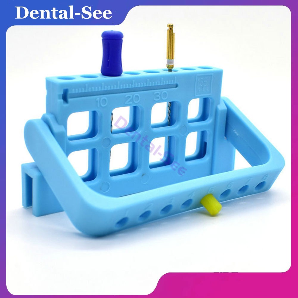 Dental 8 Holes Bur Endo Files Block Holder Stand Autoclave Disinfection Box Case