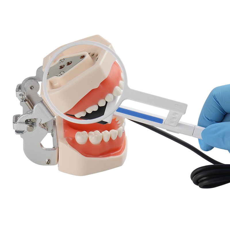 1 year Warranty Dental Sensor Portable Sensor Digital Sensor HD Dental Lab Tools