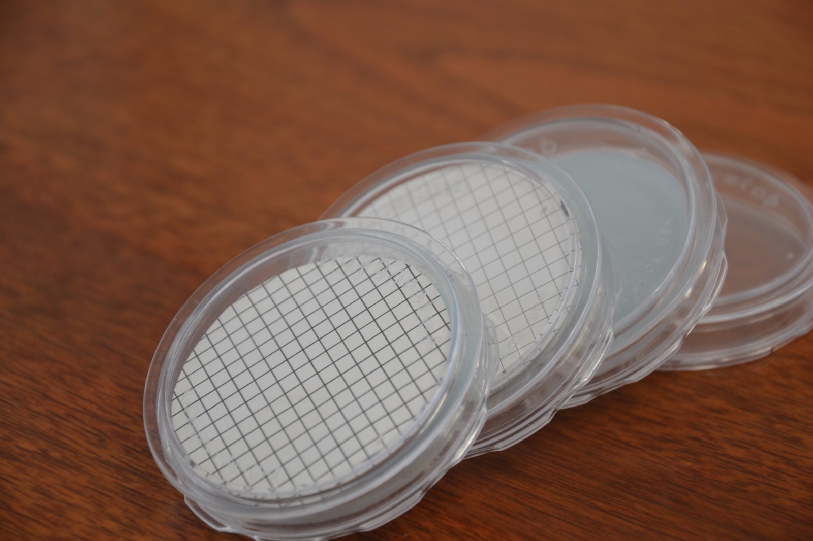[Set of 20] Petri Dish 50x9mm Disposable Clear Bacterial Plate w/ Tight Light
