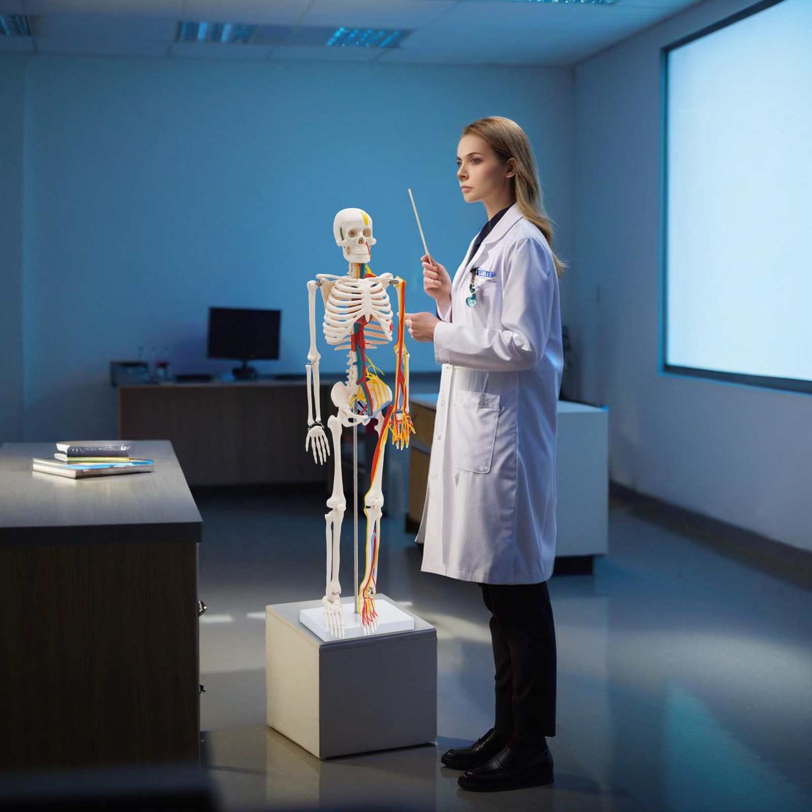 34 Inch Human Skeleton Model Skeleton Human Model Standing Style Skeleton Model