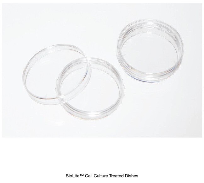 (40) THERMO BioLite 150mm x 20mm Cell Culture-Treated Petri Dishes 35mL 130183