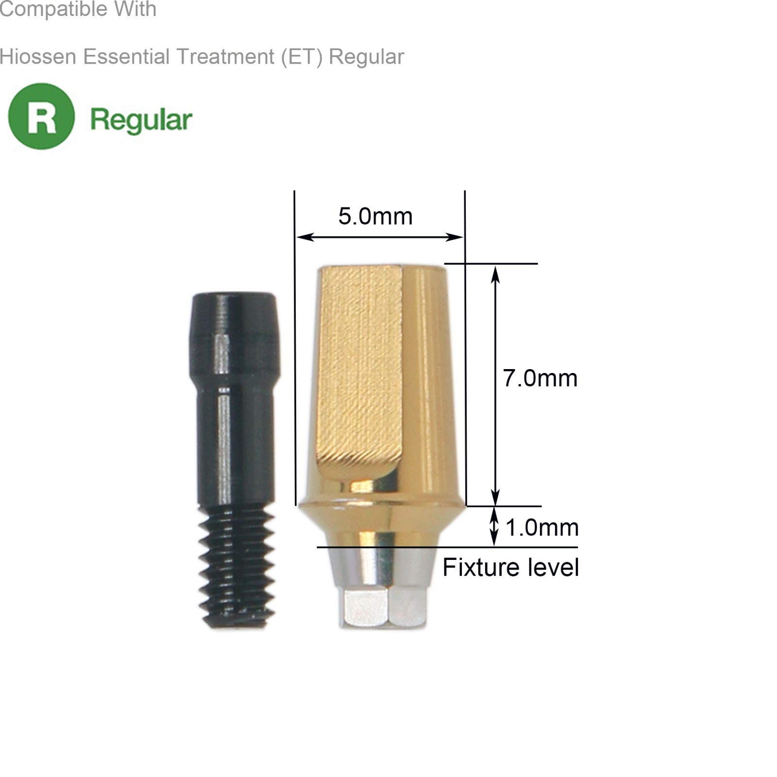Dental Hex Straight Abutment with Screw Mini Regular Fit for Osstem Hiossen TS