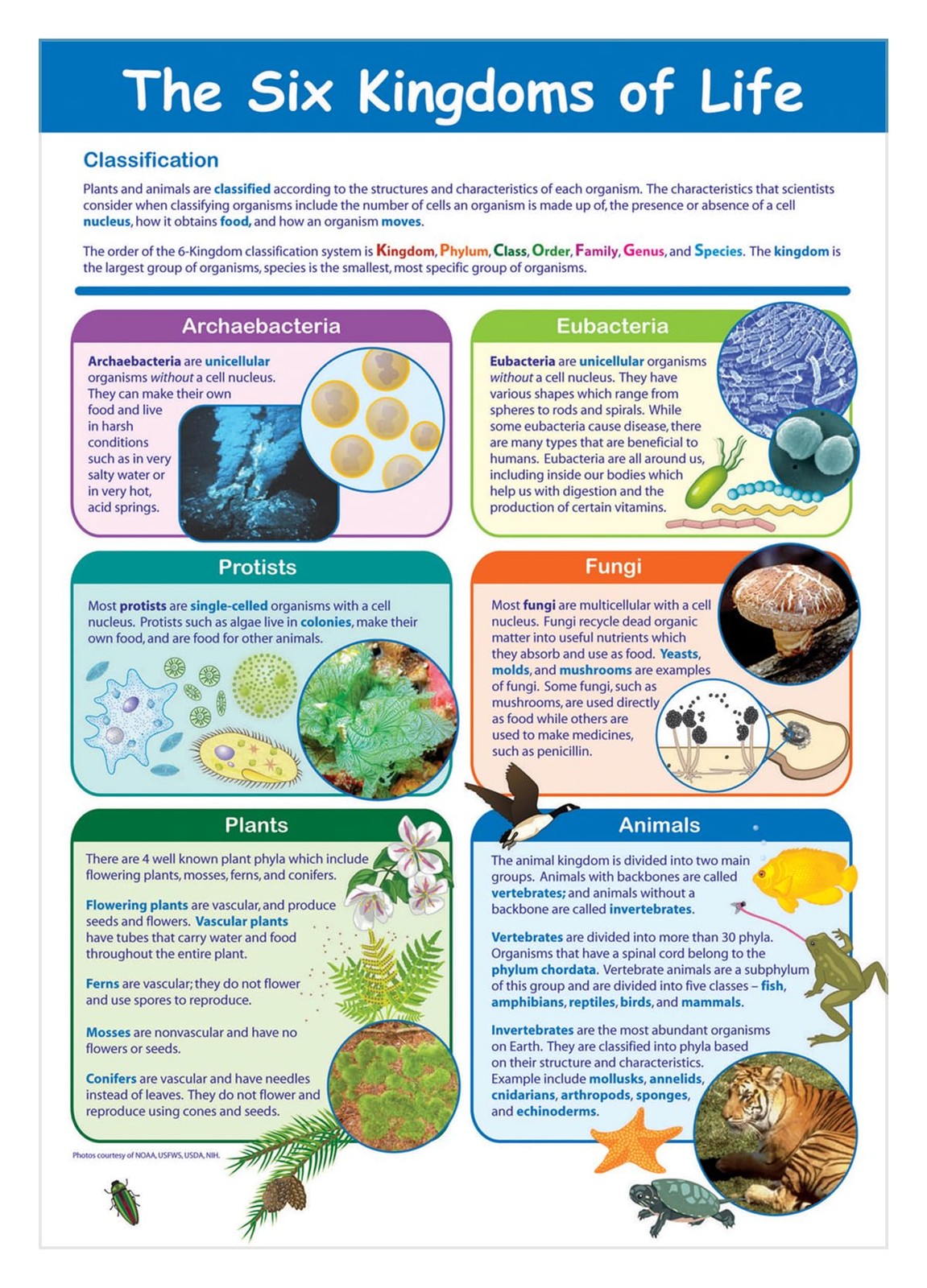 Newpath Learning-34-6112 The Six Kingdoms Of – 23 X 35