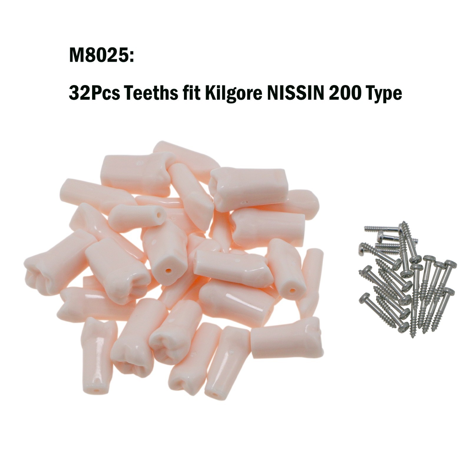 Kilgore Nissin 200 Type Dental Typodont 32Pcs Teeth Model Screw-in Replacement