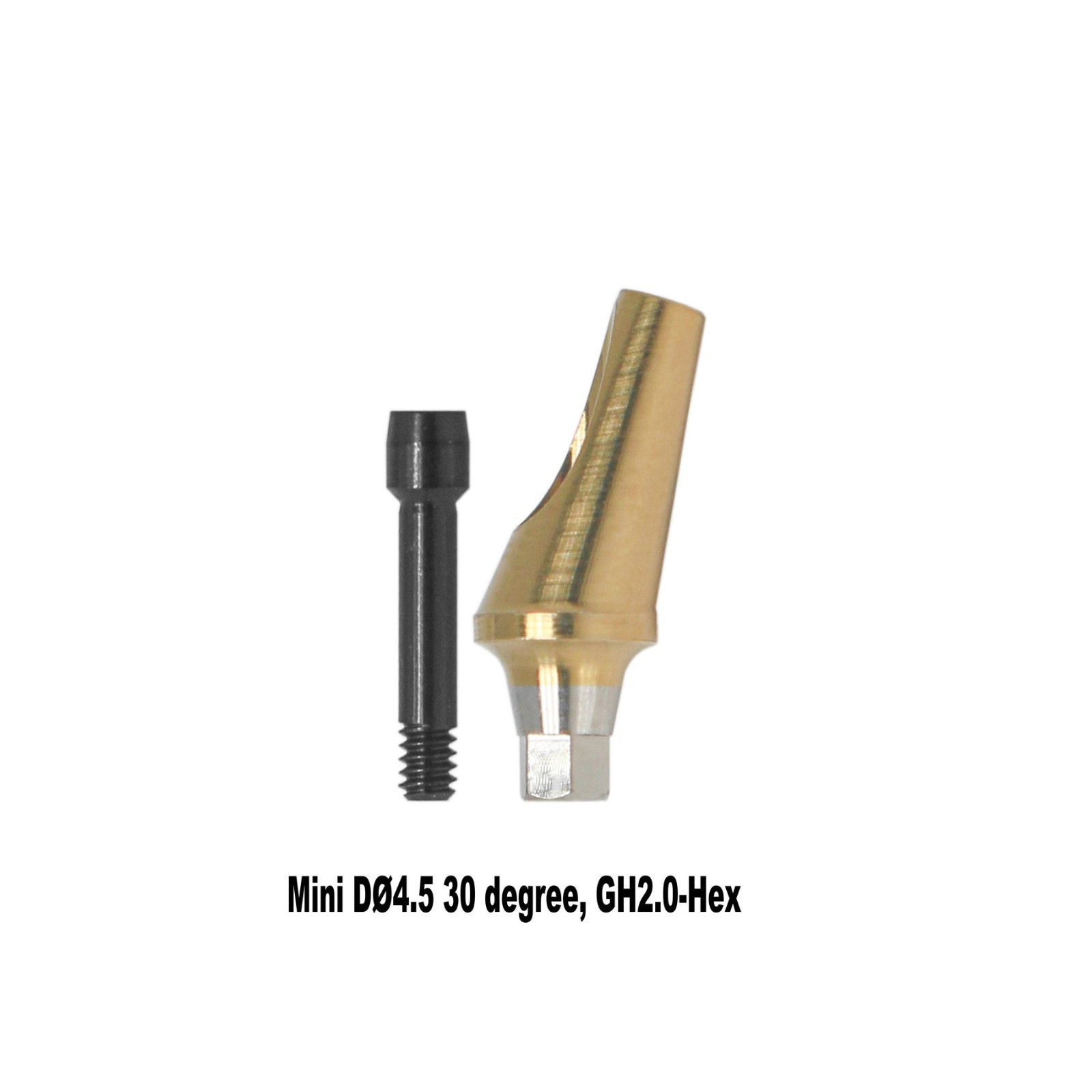 Angled Anatomic Abutment 30° 2/4mm Fits Osstem TS Hiossen Mini Regular Platform