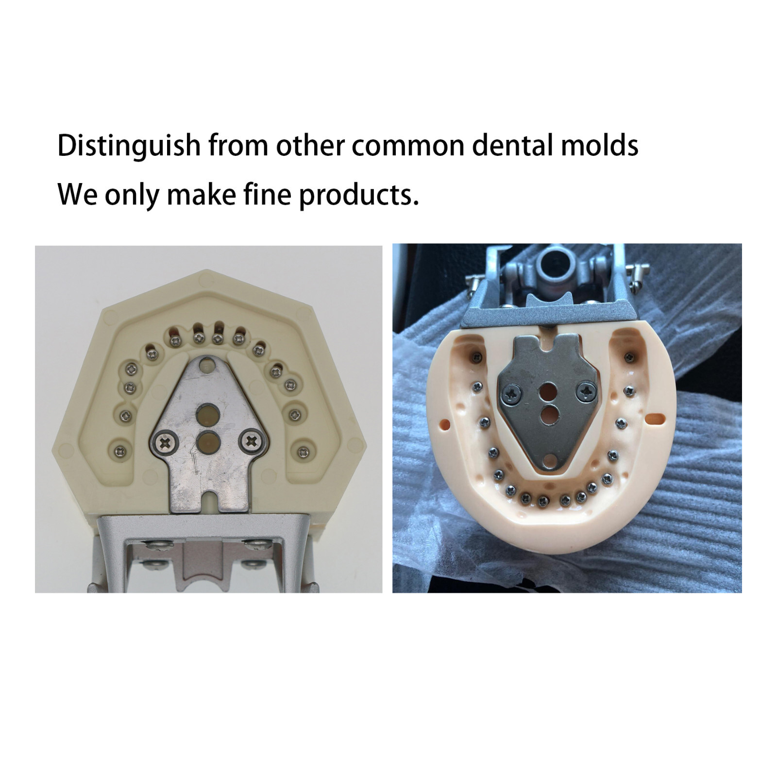 Kilgore NISSIN 200 Type Dental Typodont Model M8012 32Pcs Removable Teeth