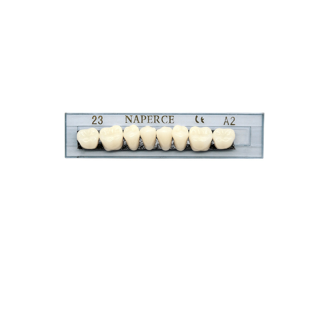 23# A2 Denture Acrylic Resin Teeth 168pcs Full Dental Tooth Upper Lower Shade