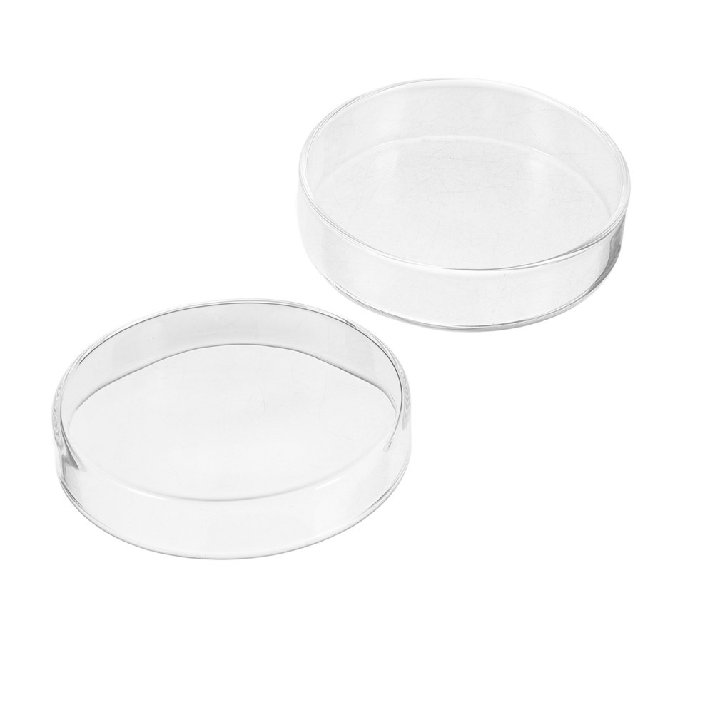 1 Set Transparent Glass Petri Dishes Bulk with Lids for Lab Use