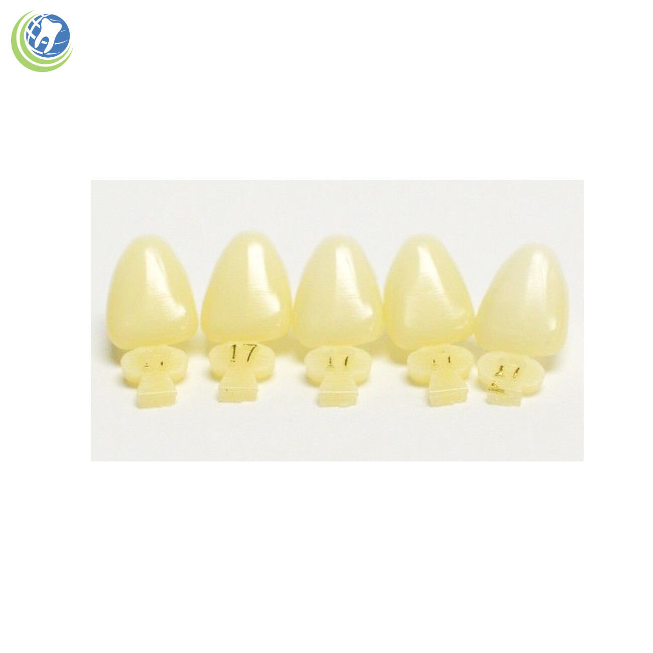 Tooth #9 Upper Left Central Anterior (ULC) Polycarbonate Temporary Crown Refills