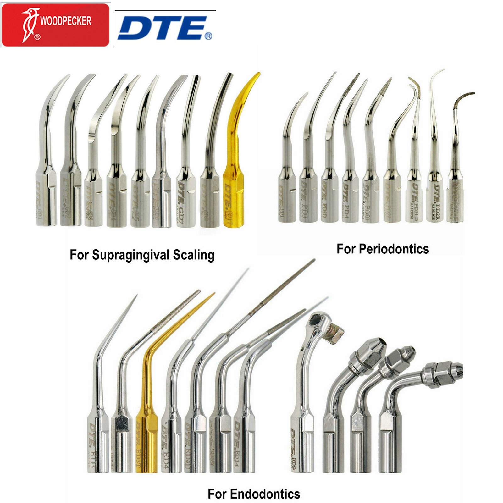 Woodpecker DTE Dental Ultrasonic Scaler Tips Endo Perio for SATELEC ACTEON NSK