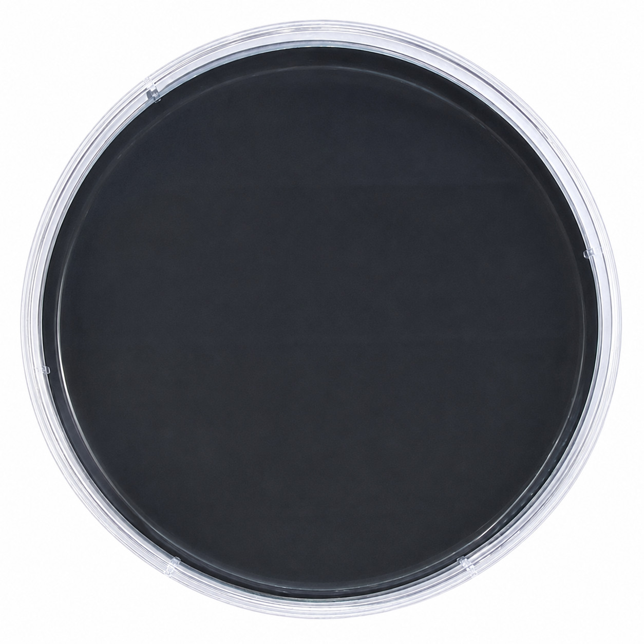Pre Poured Sterile Agar Plates – 10 Count Malt Extract | MEA | 90mm Petri Dishes
