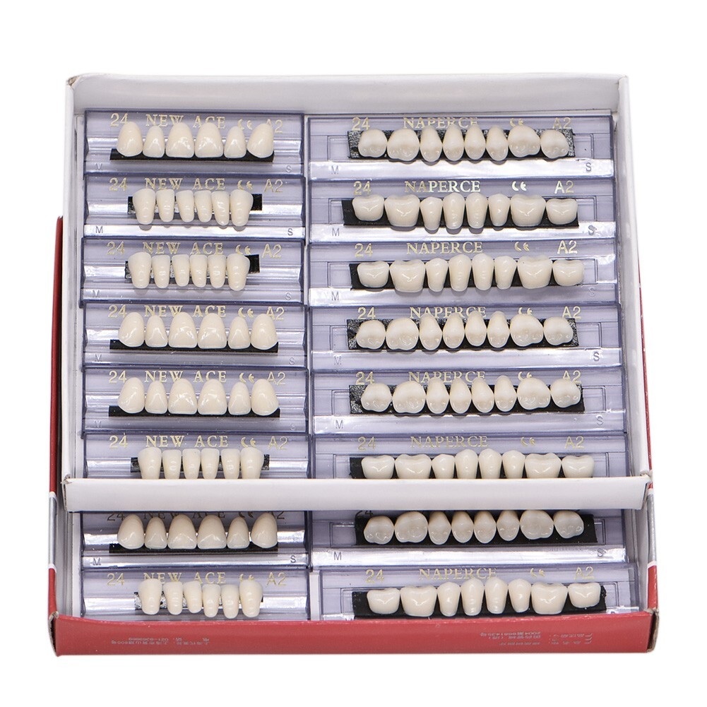 168Pcs/Box Acrylic Resin Denture #24 Dental Upper Lower Shade A2 Teeth Set USA