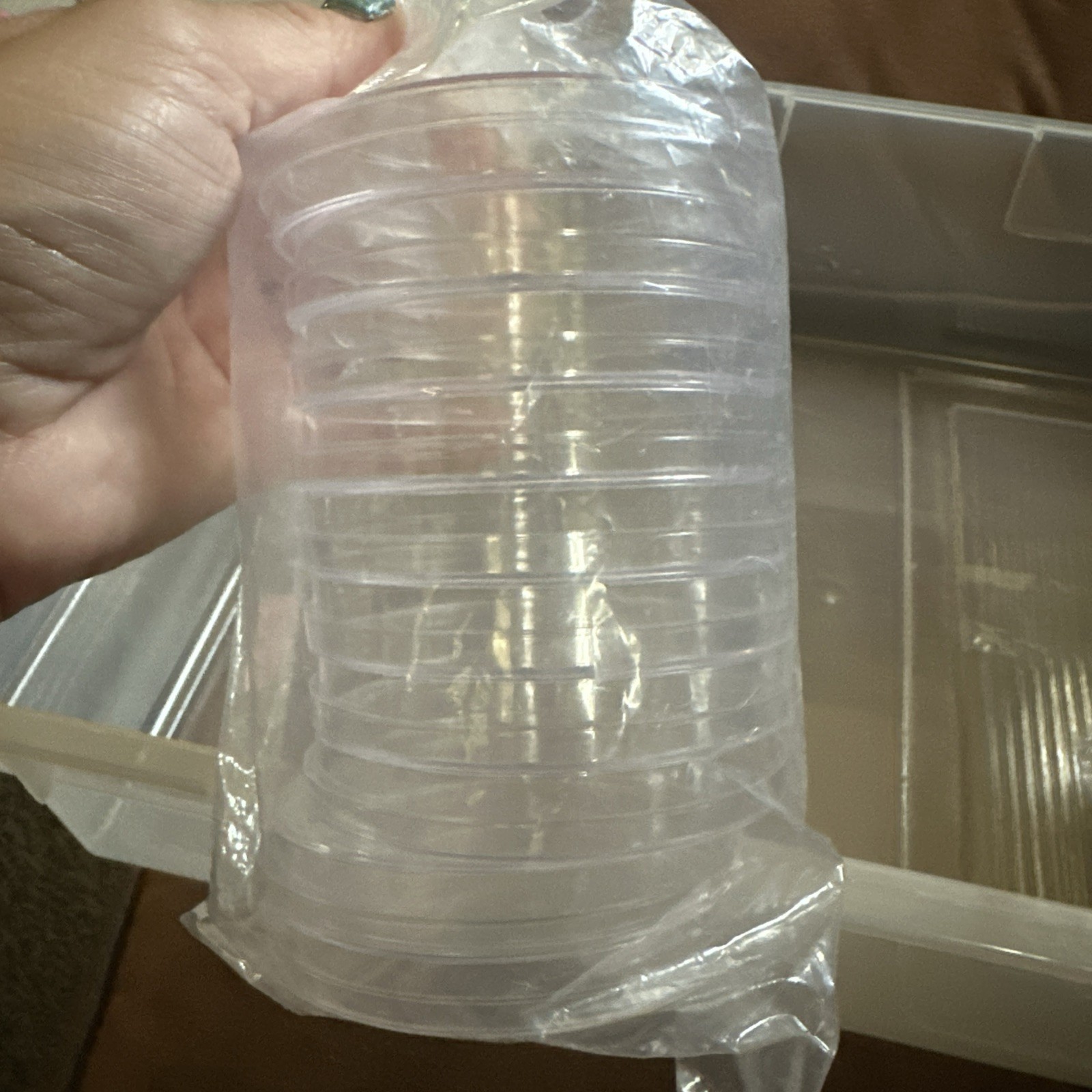 United Scientific 10 Pack Sterile Thick Plastic Petri Dishes 90x15mm, Clear