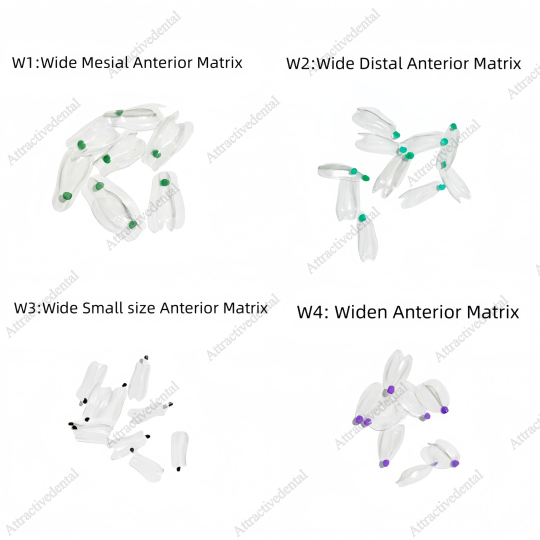 Clear Matrix Dental Anterior Posterior Transparent BT Matrices Fit BioClear USA