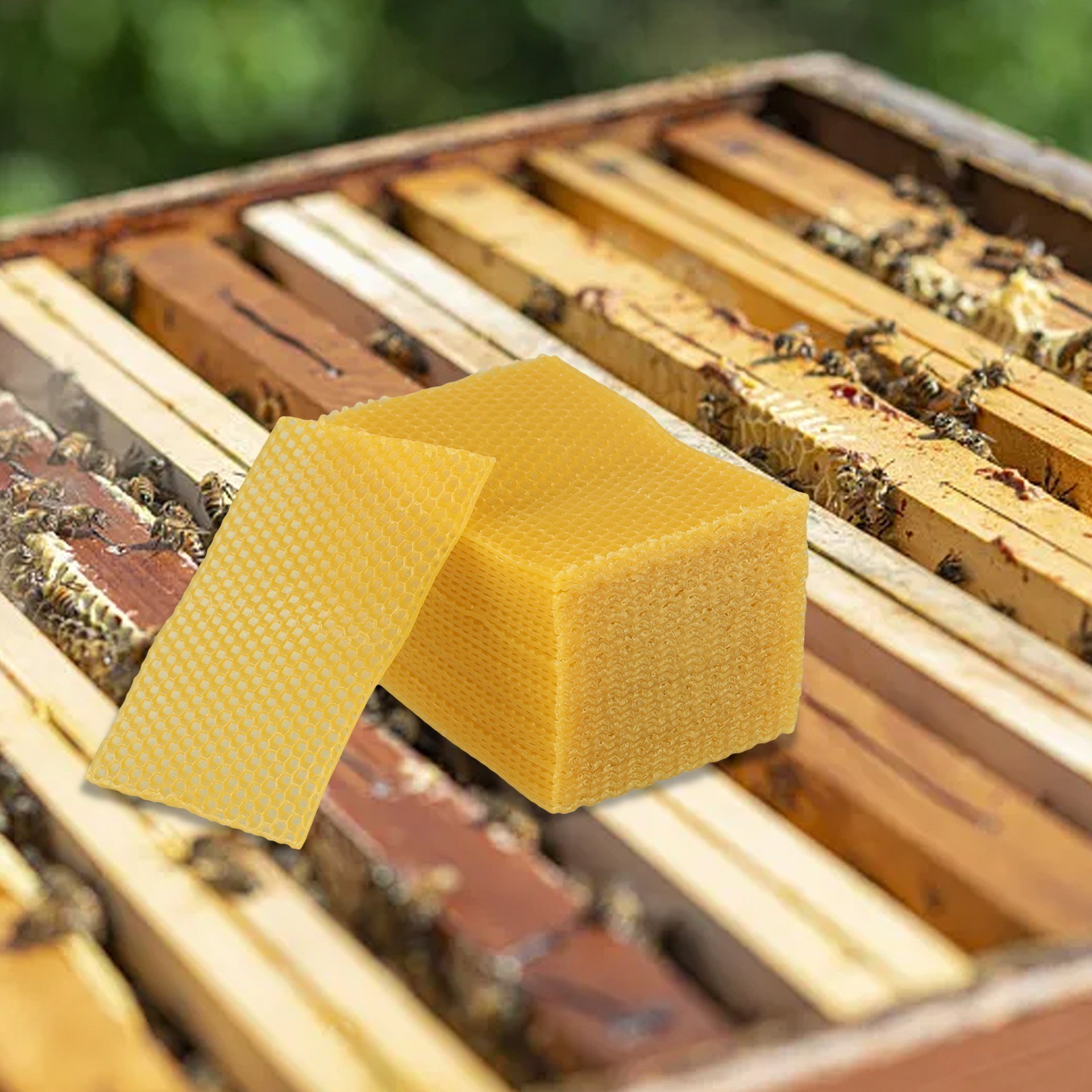 Craft and Bee Supplies Natural Beeswax Foundation Pack of 30 Size 9×13 2cm