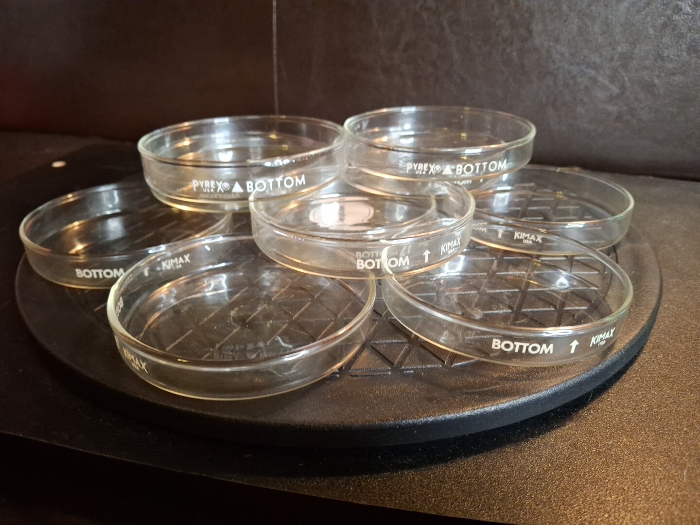 Kimax / Pyrex Petri Dishes 100mm x 15mm Set – 12 Covers and 12 Bottoms