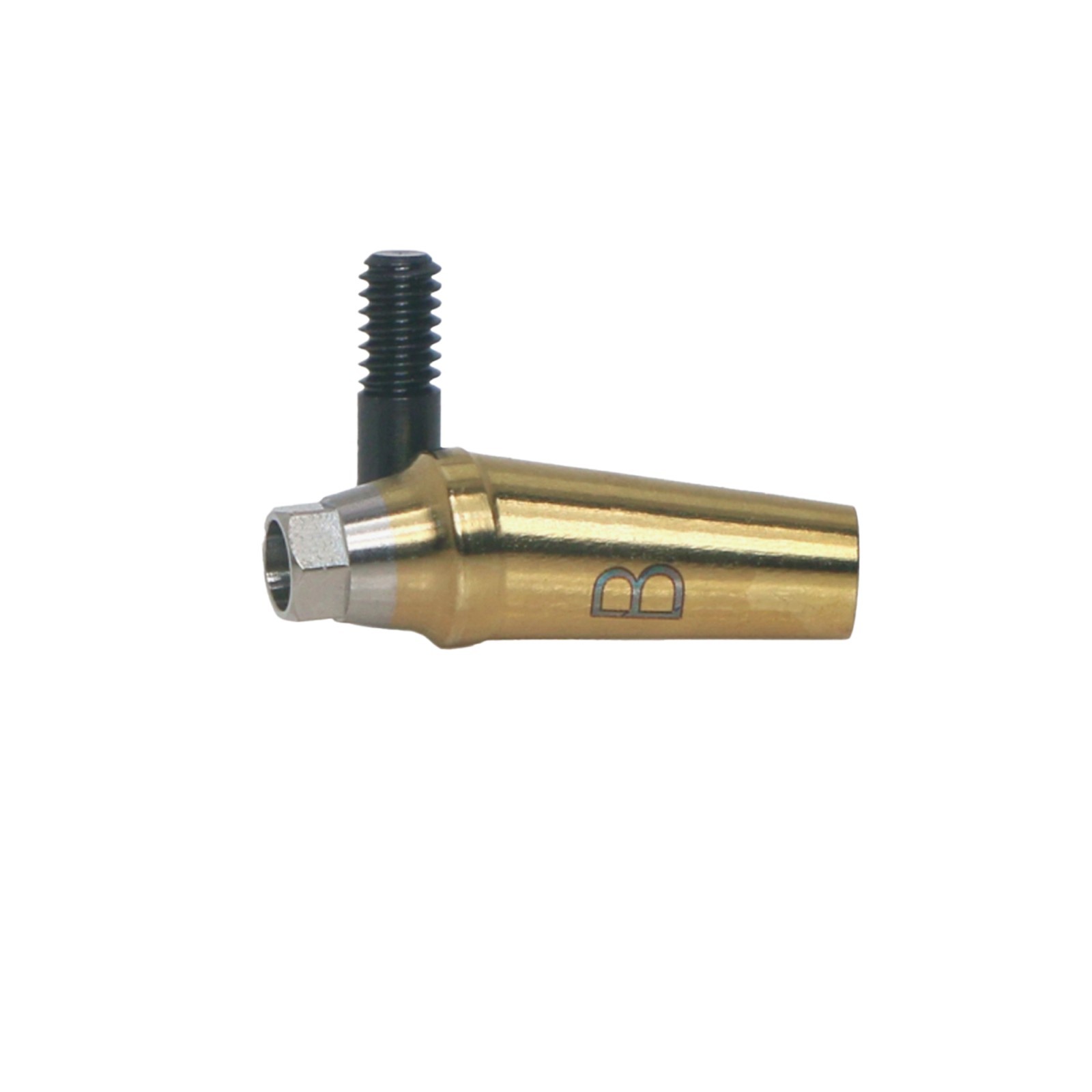 Angulated Anatomic abutment 30°Mini/Regular B Type for Hiossen Osstem TS Implant