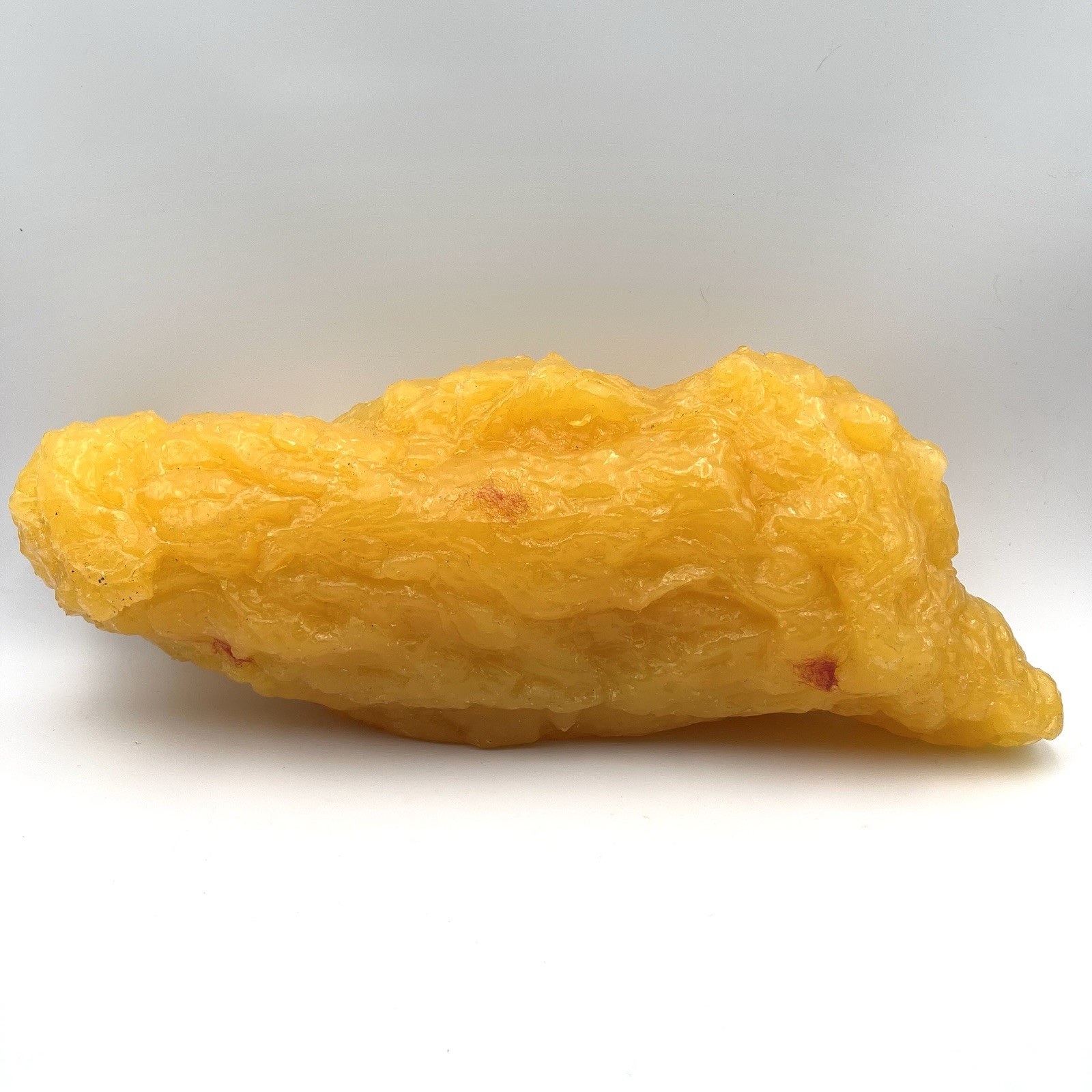 5 LB Human Body Fat Replica Model for Education Anatomy Weight Loss Fatty Tissue