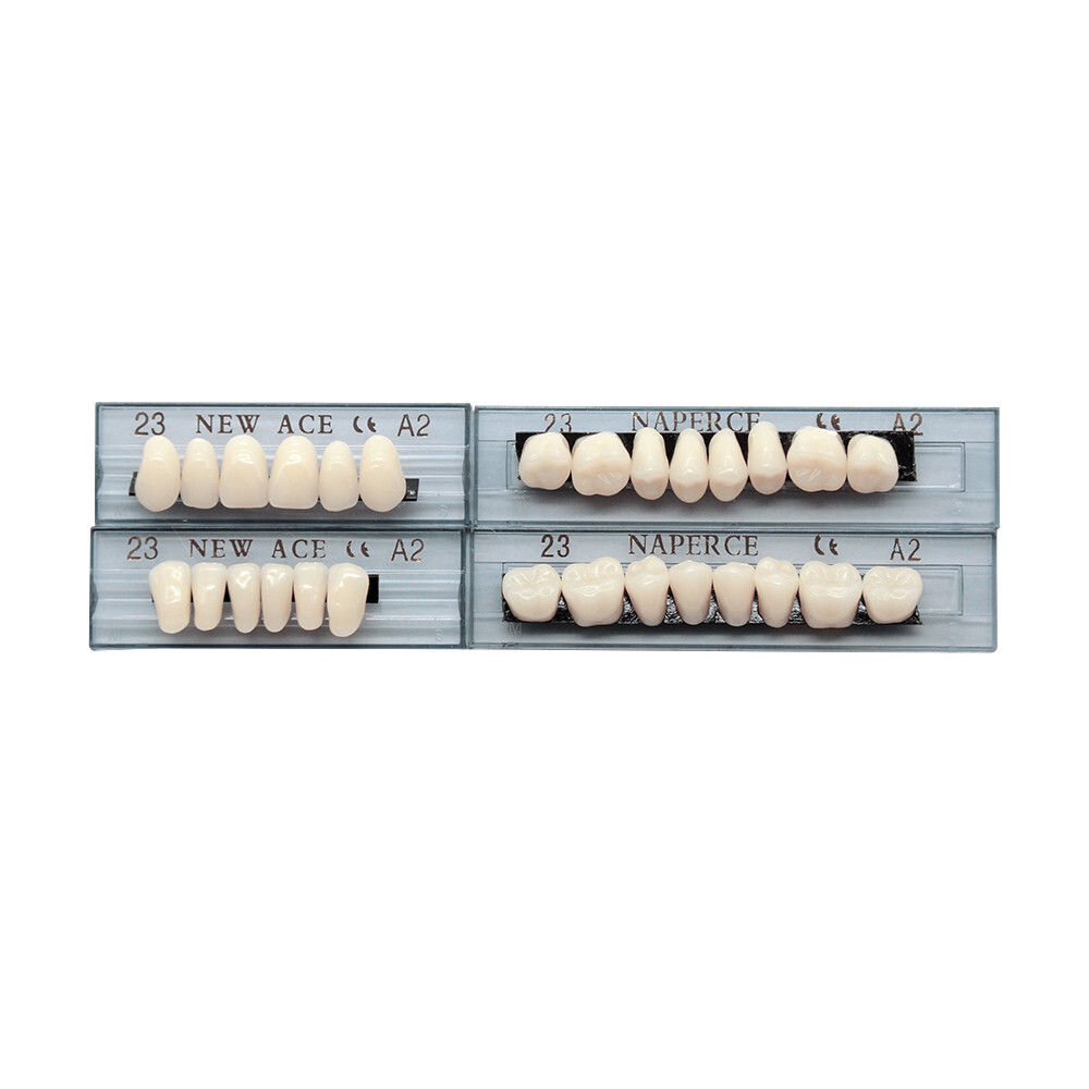 168Pcs/Box Acrylic Resin Denture #23 Dental Upper Lower Shade A2 Teeth Set US