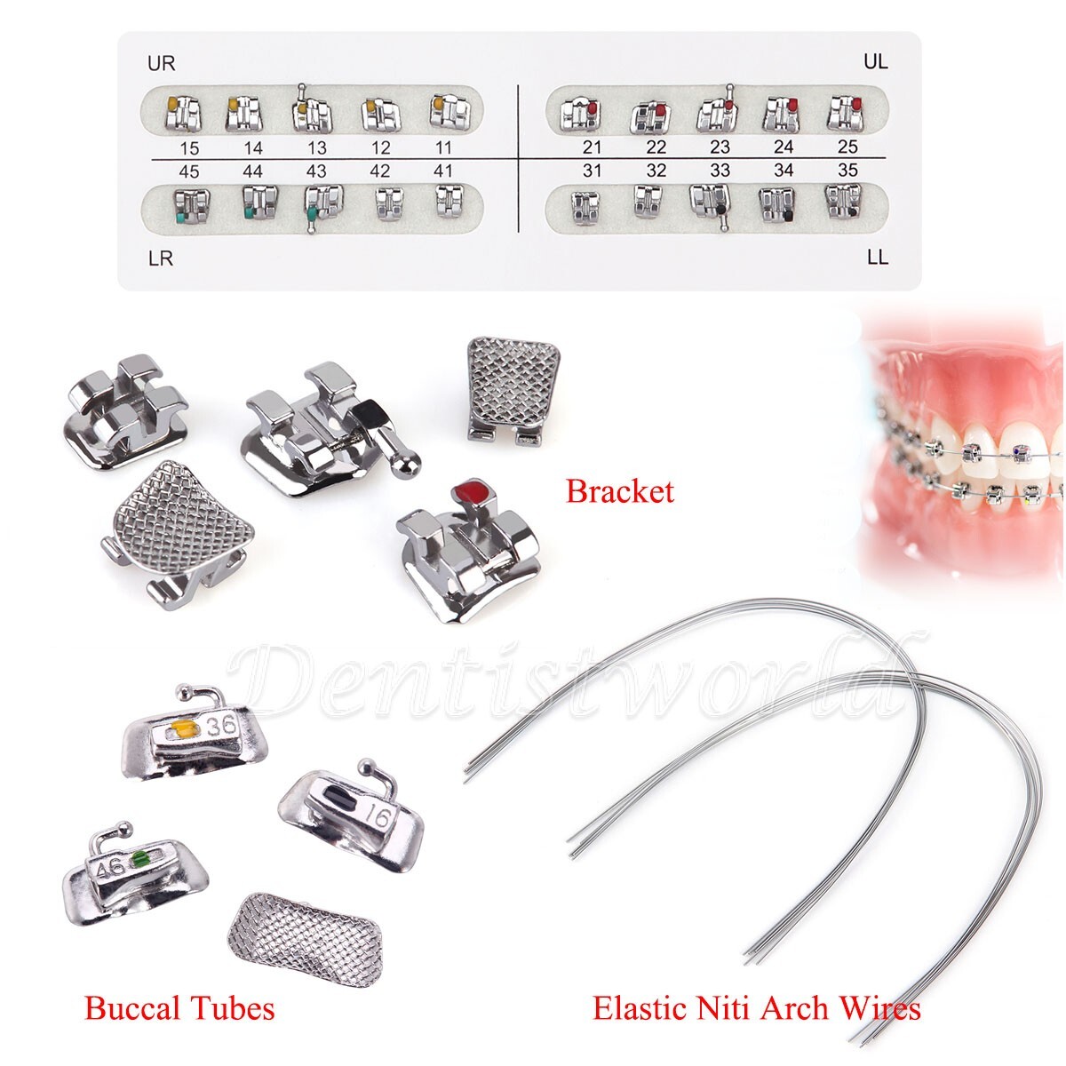 AZDENT Dental Orthodontic Bracket Braces/Niti Arch Wires/Buccal Tubes 022/018