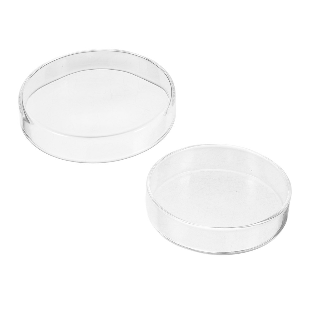 1 Set Durable Transparent Glass Petri Dishes for Scientific Culture Applications