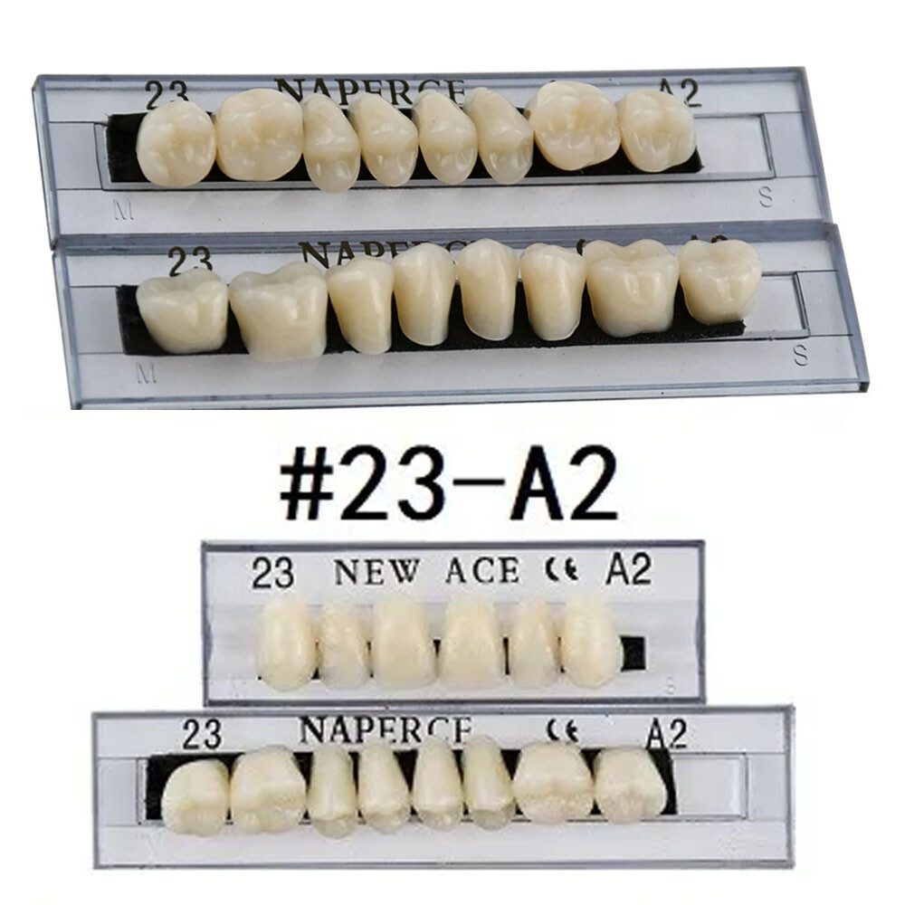 168Pcs Acrylic Resin Denture #23 Dental Upper Lower Shade A2 Teeth Set US