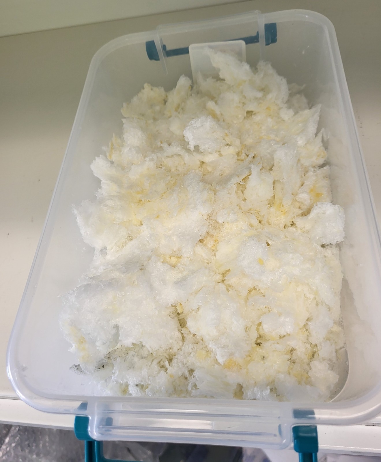 Sodium oleate, CAS 141-19-1