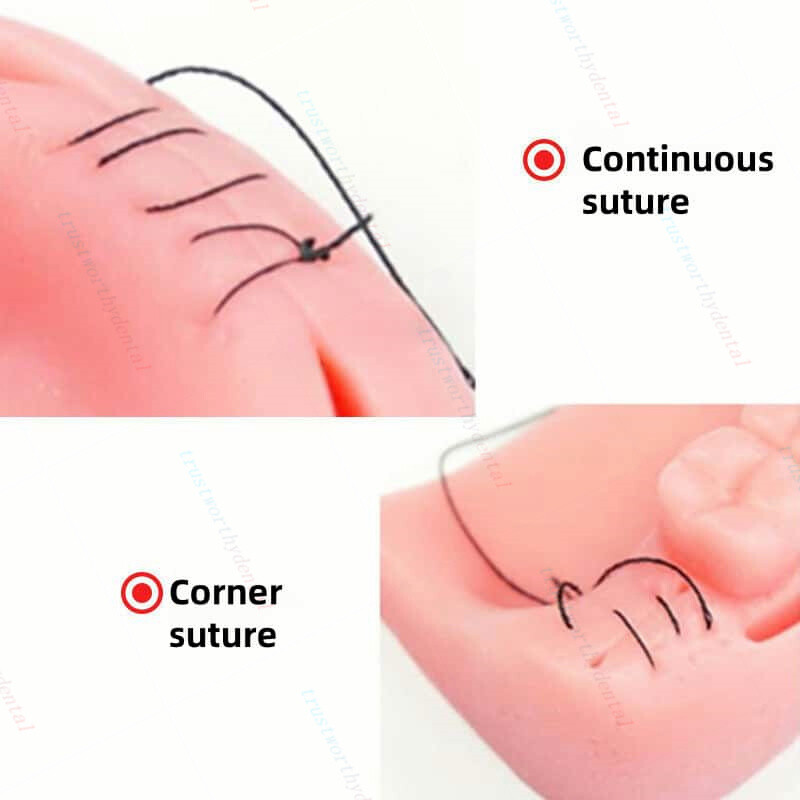 Dental Gum Teaching Training Surgical Suture Reverse Cut Simulation Suture Model