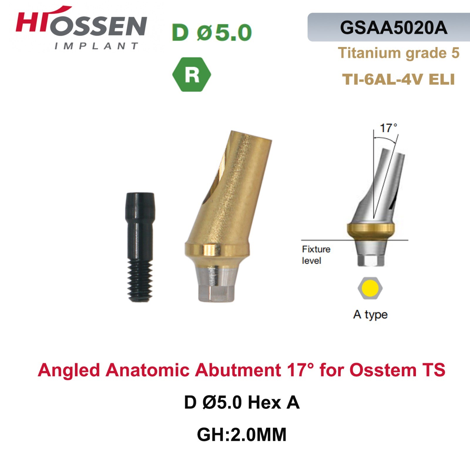 1X Fit Mini/Regular Angled Anatomic Abutment 17° Ti Dental Osstem/TS Hiossen/ET