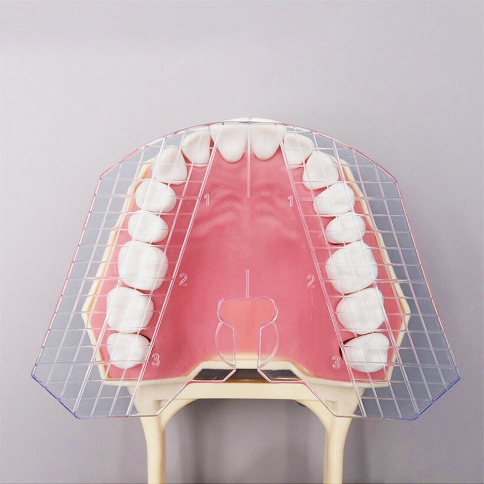 Dental Guide Template Plate Complete Denture False Teeth Arrangement 135℃